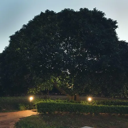 Il Giardino Di Venere Guest house *
