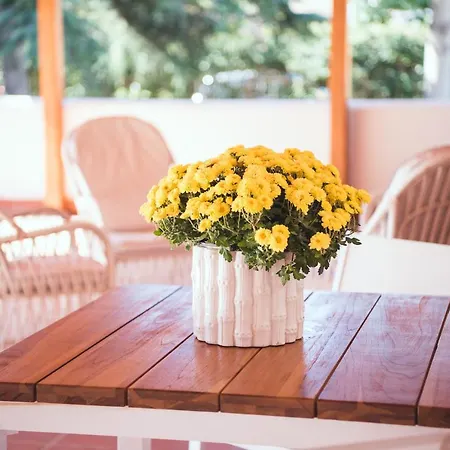 Guest house Il Giardino Di Venere Mondello