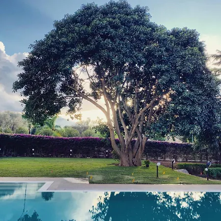 Il Giardino Di Venere Mondello